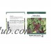 Mixed Lettuce Greens Garden Seeds - Mesclun Mixture - 2.5 Gram Packet - Non-GMO, Heirloom Vegetable Gardening & Microgreens Mix   565498570